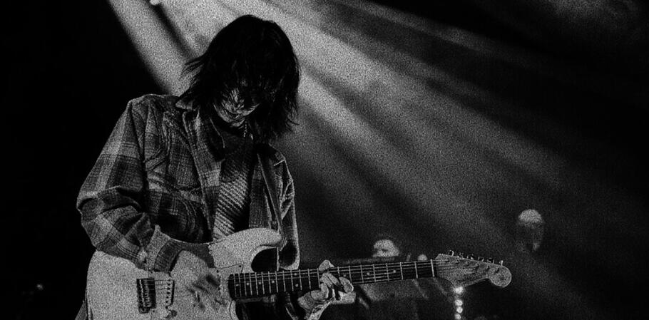 marve — toca do coelho branco.